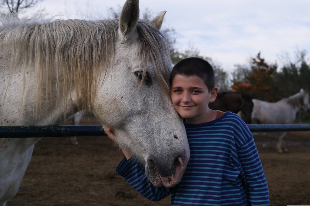 This image has an empty alt attribute; its file name is quimuns-horse-747555-7.41.52-PM-1024x683.jpg